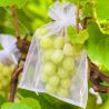 Organza bags 26 x 35 cm - white Grape protection