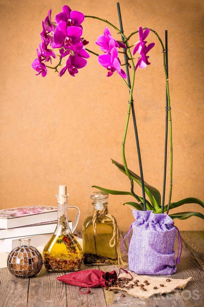 Orchid packaged in a decorative jute bag