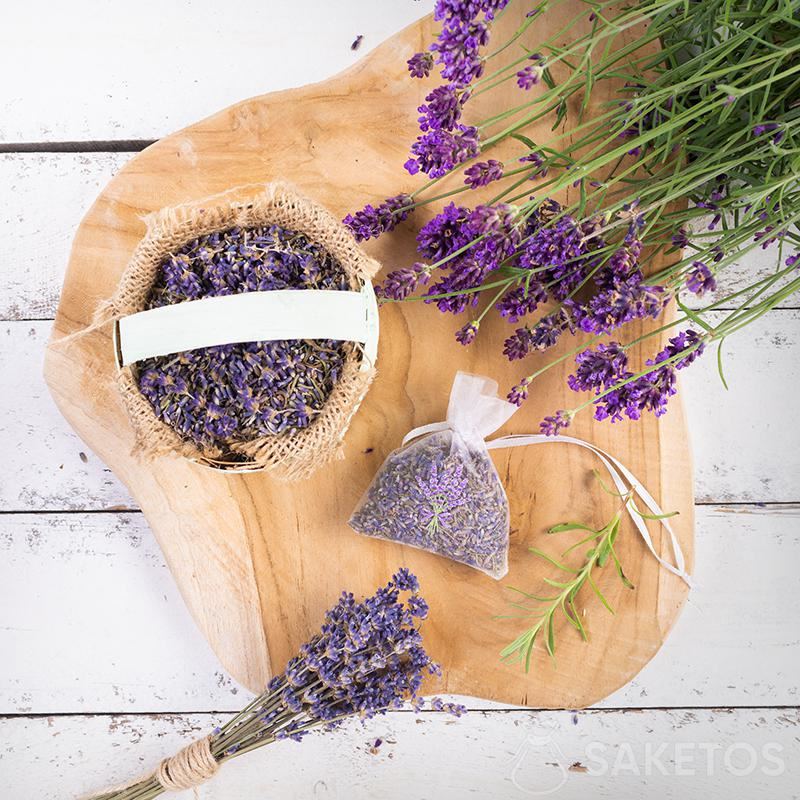 Lavender - when to harvest it, how to dry it and what to pack it in? -  Saketos Bags Blog - Organza Bags - Producer of packaging for gifts,  jewelry, decorations!