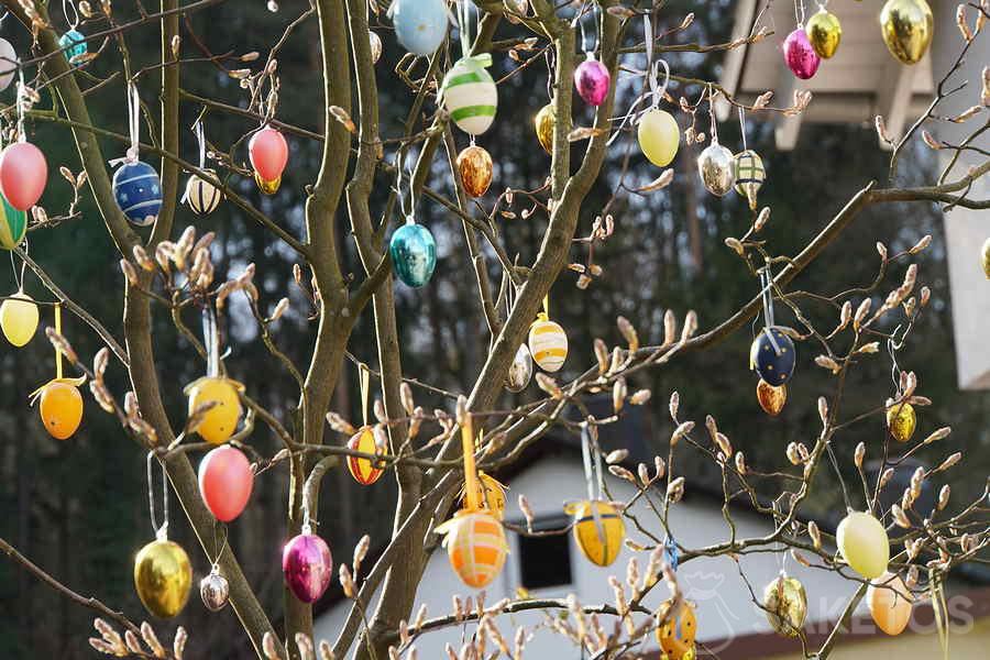 Decorative Easter eggs on a tree - do-it-yourself Easter decorations