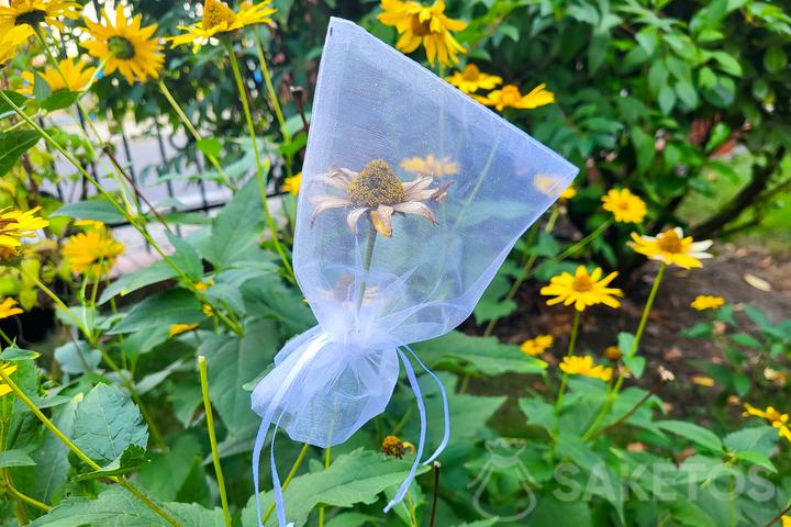 How to store seeds? Discover organza bags for collecting and storing seeds