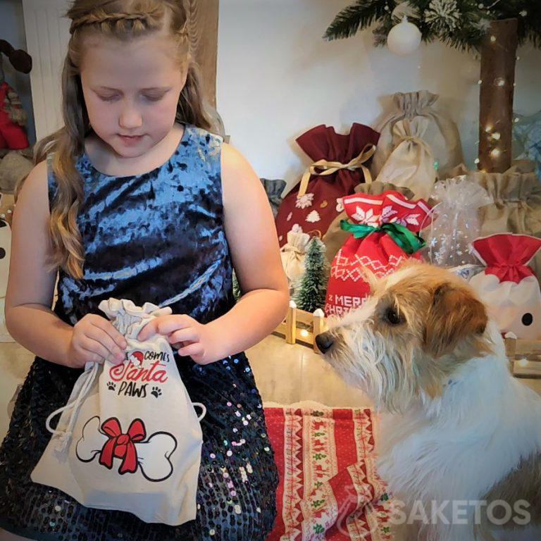 gifts and gadgets for dogs - a bag for a gift box for a pet