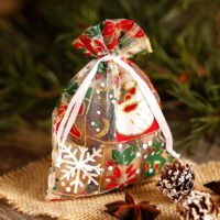 Organza bags 10 x 13 cm - Christmas / 5 Occasional bags