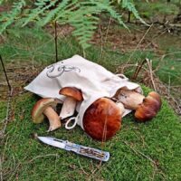 Bag like linen with printing 22 x 30 cm - for mushrooms Lifehacks – clever ideas