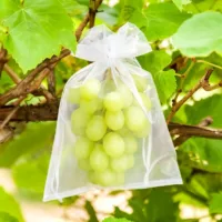 Organza bags 35 x 50 cm - gold Fruit bags