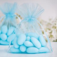 Organza bags 10 x 13 cm - light blue For children