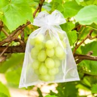 Organza bags 18 x 24 cm - gold Fruit bags