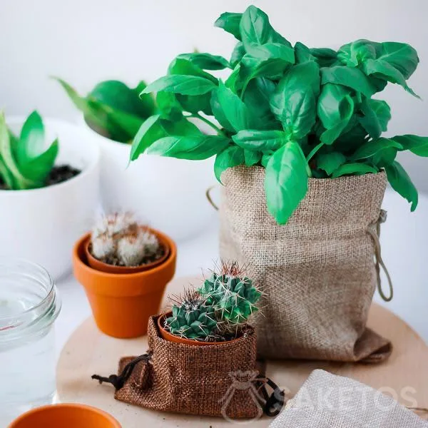 Cheap flower pot cover - jute bag for basil