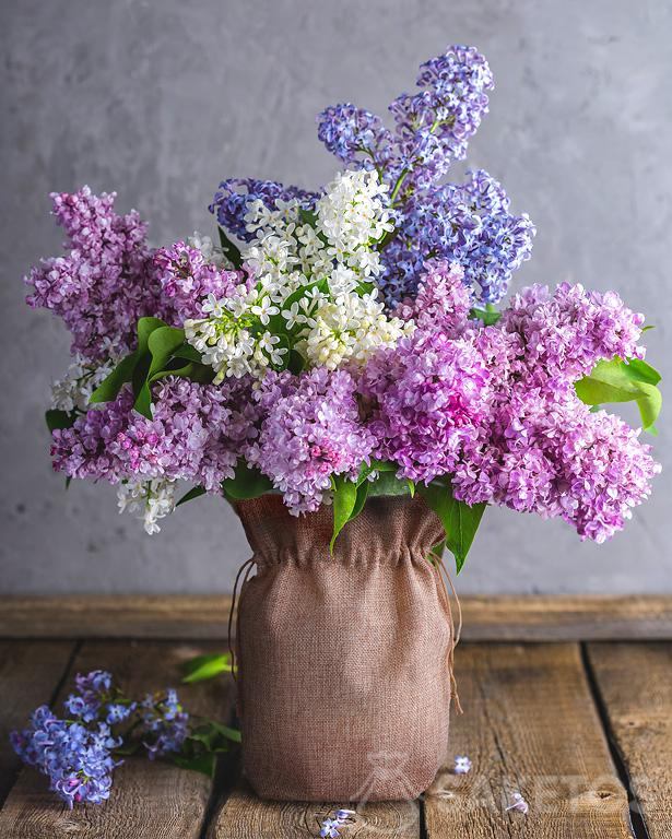 Jute bag as a vase cover with lilac flowers