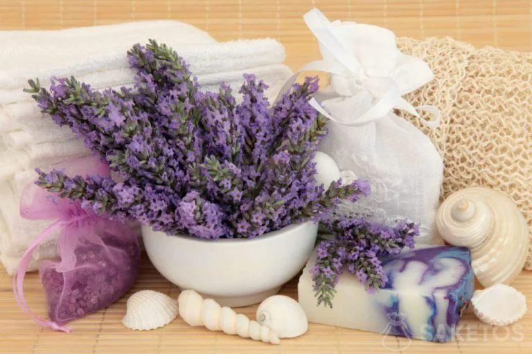 Lavender cosmetics for home SPA