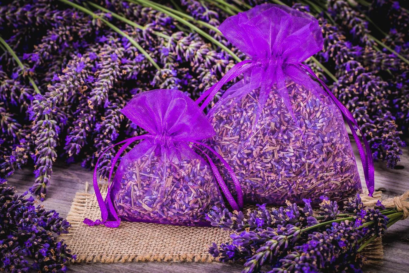 Grower's guide: How to choose organza pouches for lavender - sizes, capacity, patterns and tips 1