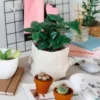 Linen bags used as plant covers on a desk in a home interior